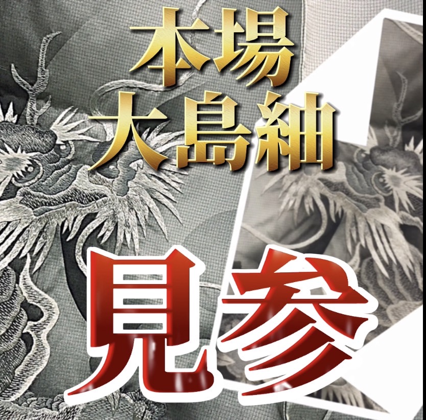 【YOUTUBE 更新】本場大島紬の本気を見よ！