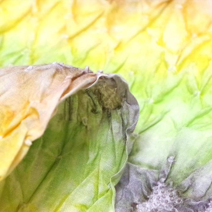 絞りの風合いで身を包む　有松鳴海絞り浴衣反【グラデーション　汽車】