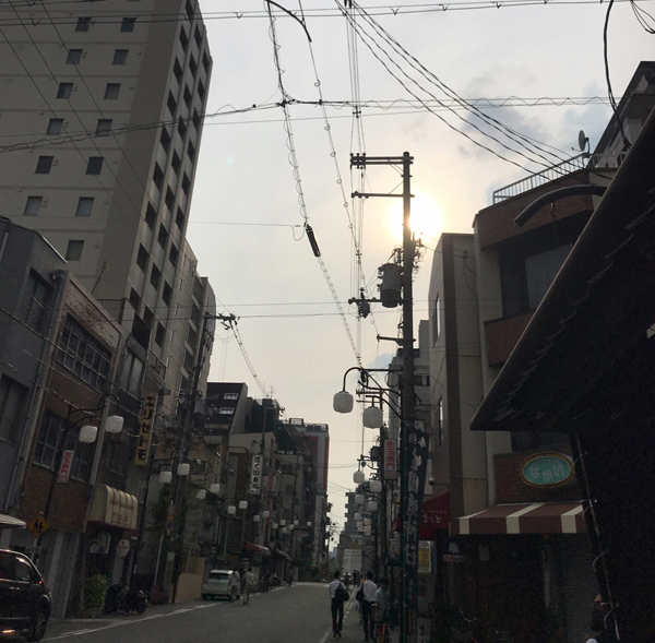 八代目がブログ更新しました♪ 夏のきものがドンドンとステキなお客様のもとへ~(嬉し泣) 八代目がブログ更新しました♪ 夏のきものがドンドンとステキなお客様のもとへ~(嬉し泣)