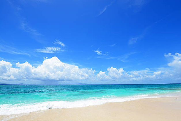 【お知らせ】夏季休業のお知らせ